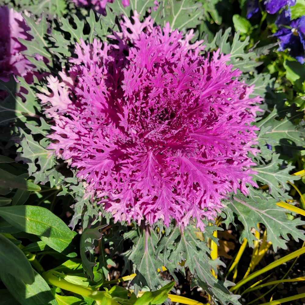 Meet your Posher, Bri